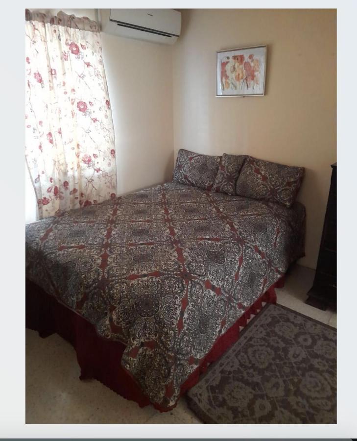 Chelsea Manor Apartment Кингстън Екстериор снимка